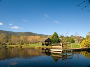 Sanctuary Park Cottages, Healesville